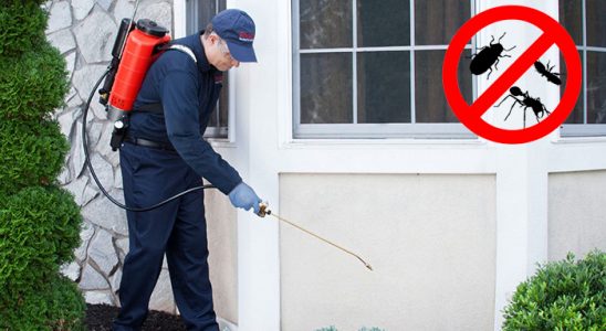 Ortahisar Dezenfeksiyon böcek ilaçlama ve haşere kontrolü — ilaclama-tr.com